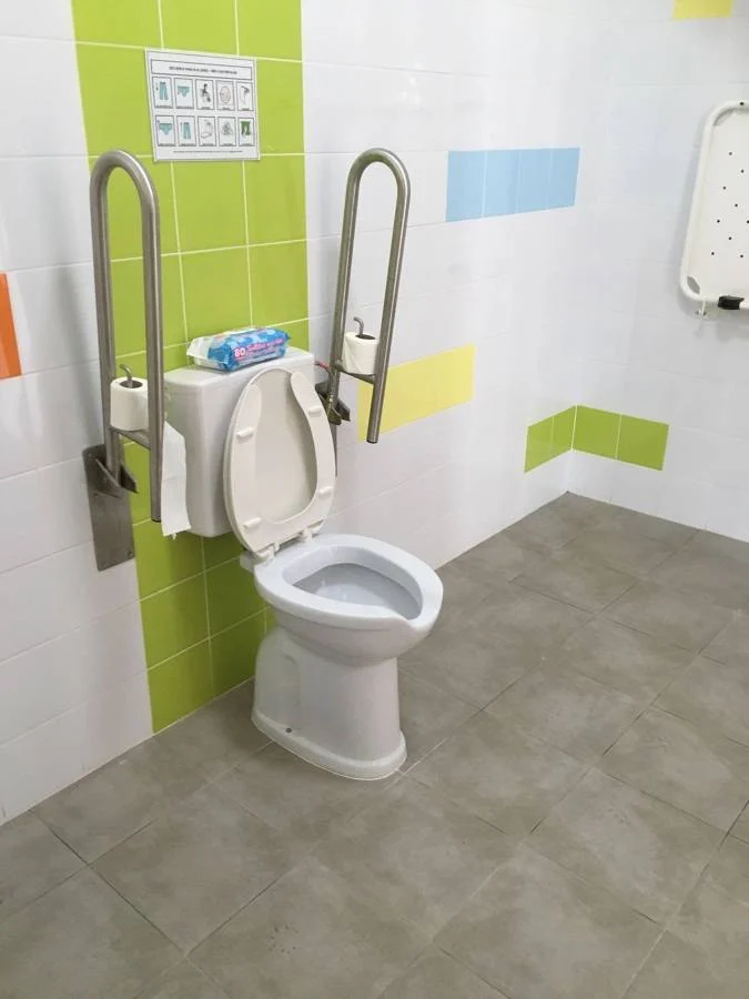 Inodoro con barras de apoyo abatibles fijadas en la pared.. Acceso a la galería. Abre nueva ventana